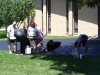 Lombard Church Picnic 2008