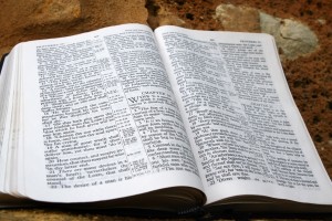 8060 Bible