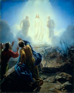 53167 Transfiguration