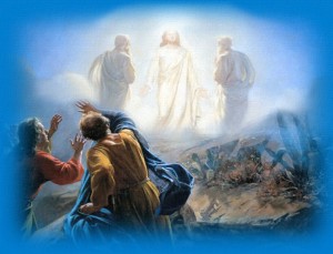 Transfiguration 2
