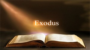 EXODUS Small